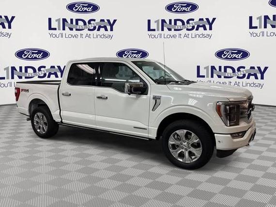 FORD F-150 2023 1FTFW1ED9PFC22845 image