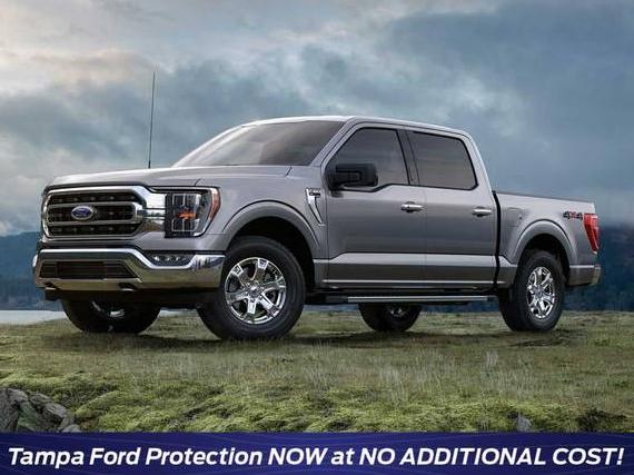 FORD F-150 2023 1FTEW1EP4PKD98456 image