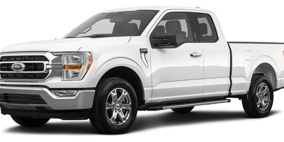FORD F-150 2023 1FTEX1EB7PKF21393 image