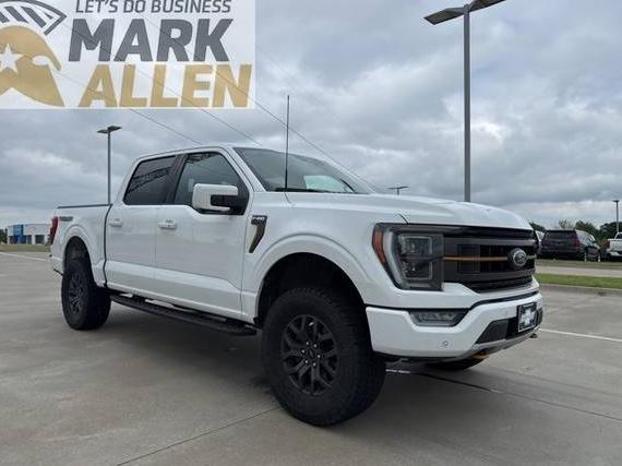 FORD F-150 2023 1FTEW1E87PFA67453 image