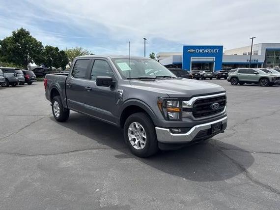 FORD F-150 2023 1FTFW1E84PFC52080 image