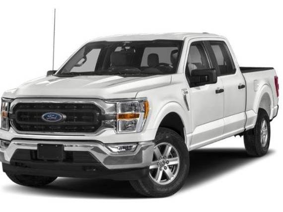 FORD F-150 2023 1FTEW1C52PFC09104 image