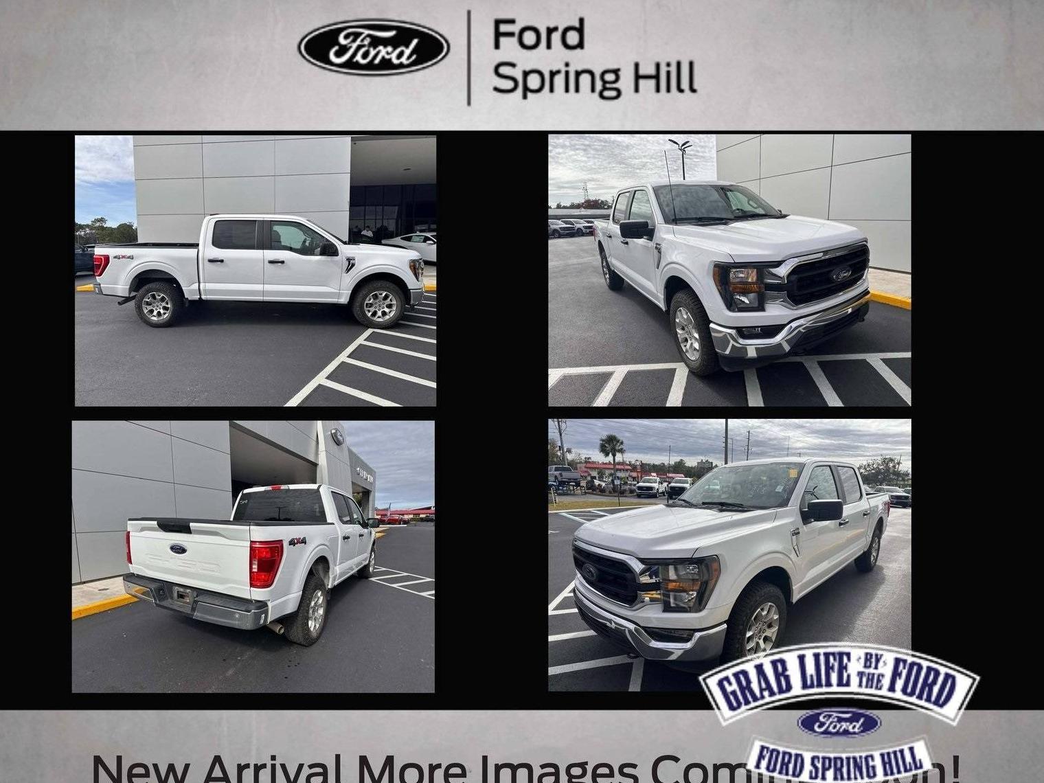 FORD F-150 2023 1FTFW1E55PFA85041 image