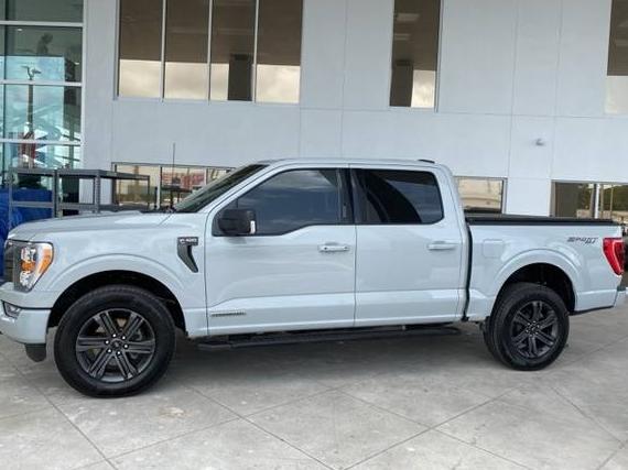 FORD F-150 2023 1FTFW1ED6PFB28079 image