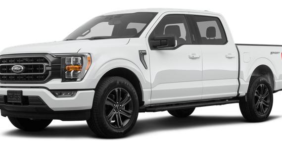 FORD F-150 2023 1FTEW1CP1PKD60380 image