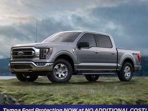FORD F-150 2023 1FTEW1EP0PFA93111 image