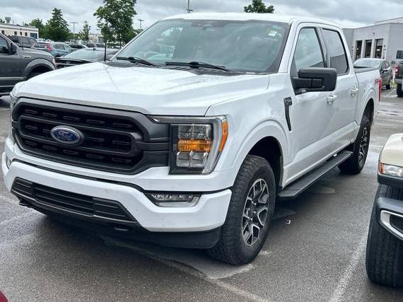 FORD F-150 2023 1FTFW1E59PKF93648 image