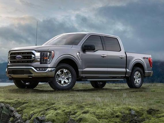 FORD F-150 2023 1FTFW1E85PFA62241 image