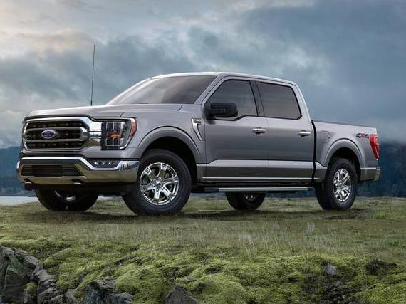 FORD F-150 2023 1FTEW1C54PFC29483 image