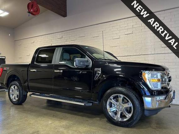 FORD F-150 2023 1FTEW1EP7PKF47426 image