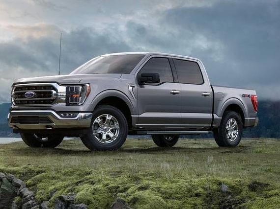 FORD F-150 2023 1FTEW1E80PFC81846 image