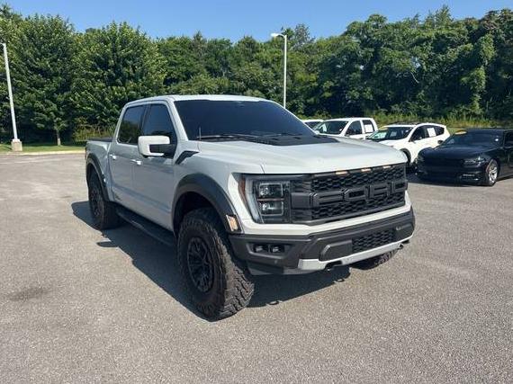 FORD F-150 2023 1FTFW1RG1PFA87025 image