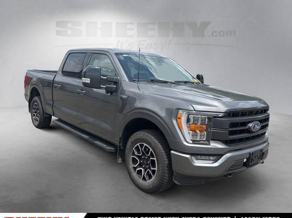 FORD F-150 2023 1FTFW1E52PKE39976 image