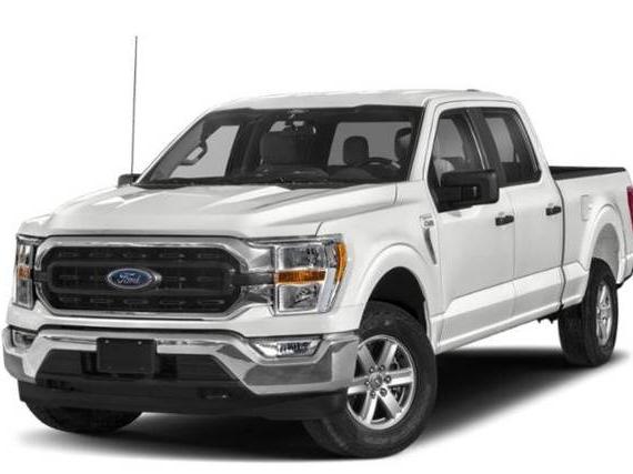 FORD F-150 2023 1FTEW1CP4PKD24487 image