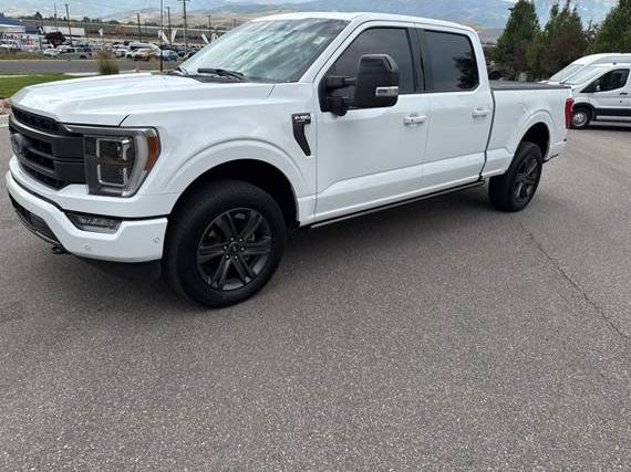 FORD F-150 2023 1FTFW1E83PFD14553 image