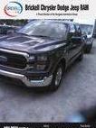 FORD F-150 2023 1FTEW1C83PKD69591 image