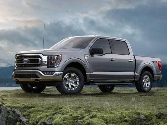 FORD F-150 2023 1FTEW1C88PKD70834 image