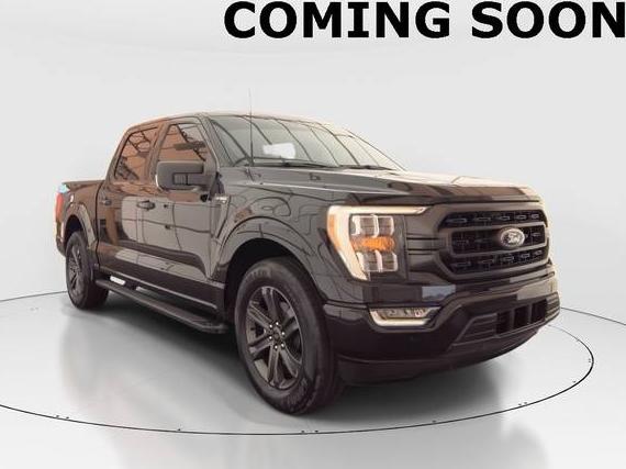 FORD F-150 2023 1FTEW1CP5PKD77697 image