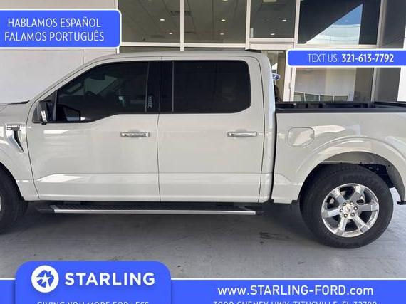 FORD F-150 2023 1FTEW1CP3PKE64255 image