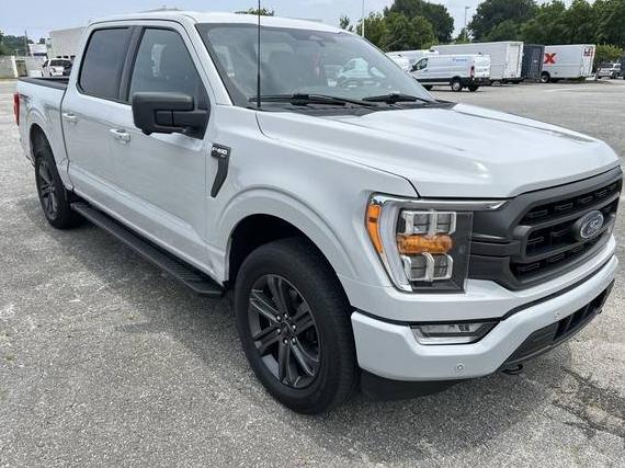 FORD F-150 2023 1FTEW1EP7PKE07621 image
