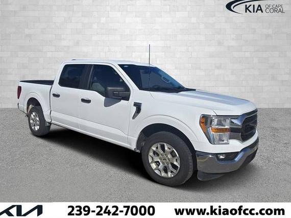 FORD F-150 2023 1FTEW1C84PKD62410 image
