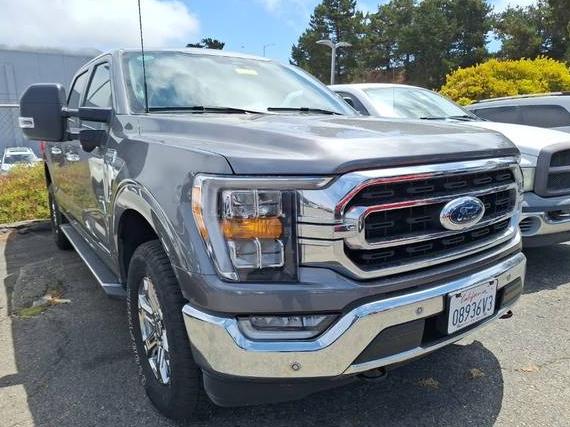 FORD F-150 2023 1FTFW1ED7PFB24185 image
