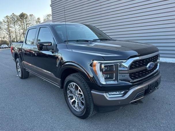 FORD F-150 2023 1FTFW1E82PFB59722 image