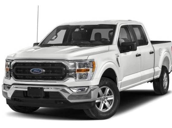 FORD F-150 2023 1FTEW1EP3PFB53611 image