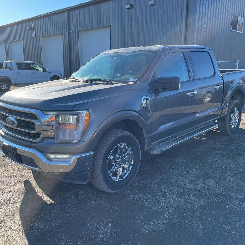 FORD F-150 2023 1FTFW1E82PKD36258 image