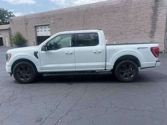 FORD F-150 2023 1FTEW1C59PFC47784 image