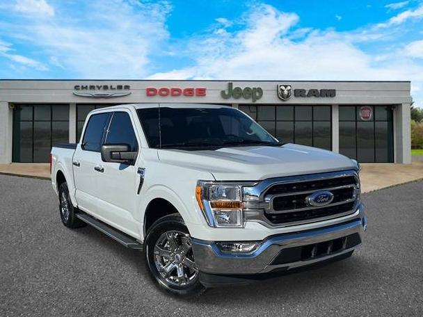 FORD F-150 2023 1FTEW1CP6PFC62616 image