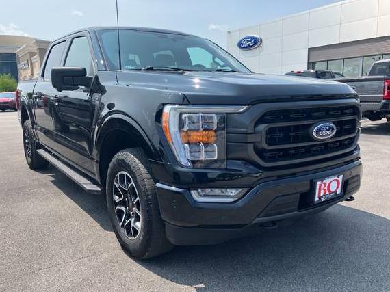FORD F-150 2023 1FTFW1E82PKD03261 image