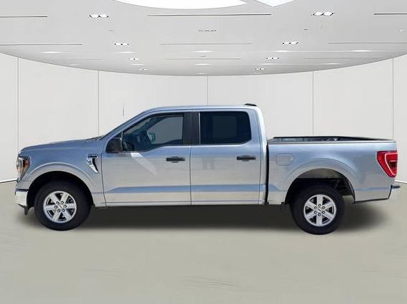 FORD F-150 2023 1FTEW1C87PKE77731 image