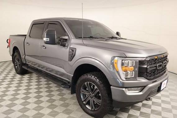 FORD F-150 2023 1FTFW1E81PFB32768 image