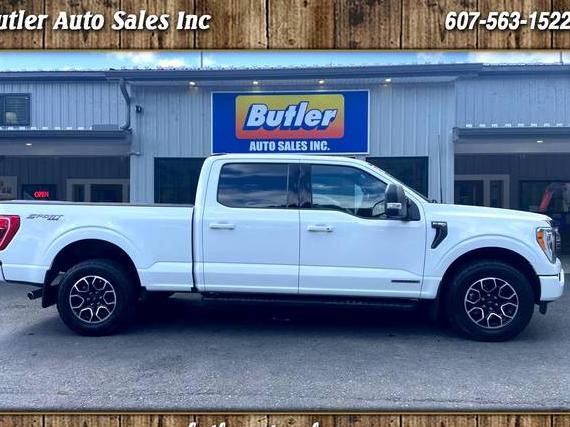 FORD F-150 2023 1FTFW1ED6PFB06213 image