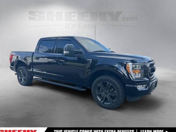 FORD F-150 2023 1FTFW1E84PFA69665 image