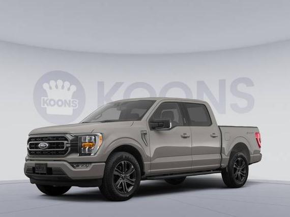 FORD F-150 2023 1FTEW1EP5PKE03602 image