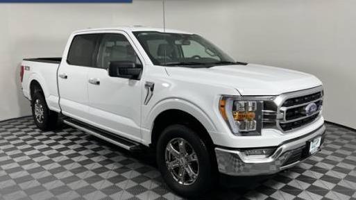 FORD F-150 2023 1FTFW1E81PKD36381 image