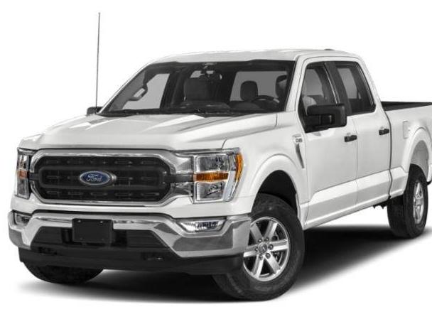 FORD F-150 2023 1FTEW1EP8PKE55628 image