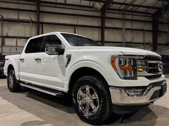 FORD F-150 2023 1FTEW1EP5PKE09223 image