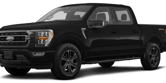 FORD F-150 2023 1FTEW1EP8PFD18441 image