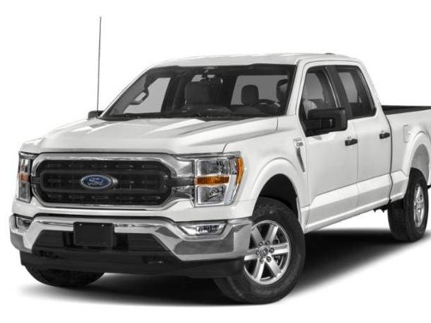 FORD F-150 2023 1FTEW1EP9PFA49821 image