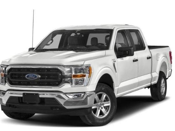 FORD F-150 2023 1FTEW1EP1PFA10396 image