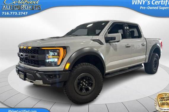 FORD F-150 2023 1FTFW1RG7PFD16856 image