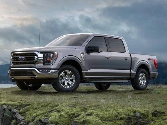 FORD F-150 2023 1FTEW1E88PFC39022 image