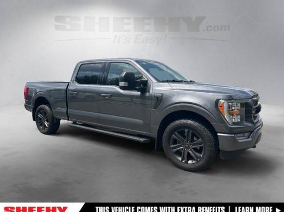 FORD F-150 2023 1FTFW1E85PFA75894 image