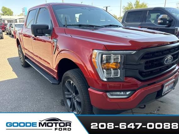 FORD F-150 2023 1FTFW1E87PKE84549 image