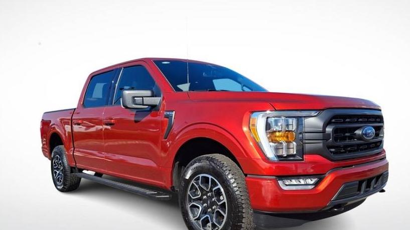 FORD F-150 2023 1FTEW1EP2PKD53161 image