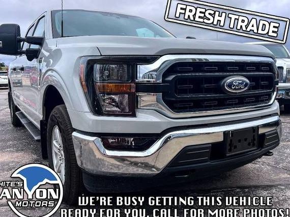 FORD F-150 2023 1FTFW1E81PKF52179 image