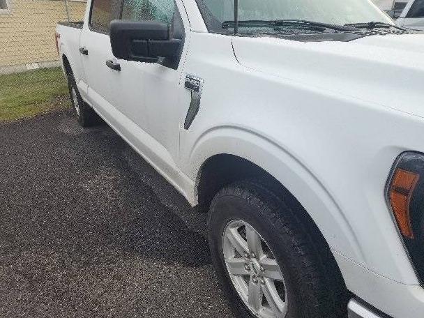 FORD F-150 2023 1FTFW1E84PFB82497 image